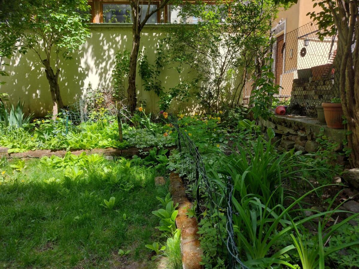 Charming Central Home With Garden Near Parking And Ndk Sofia Eksteriør bilde
