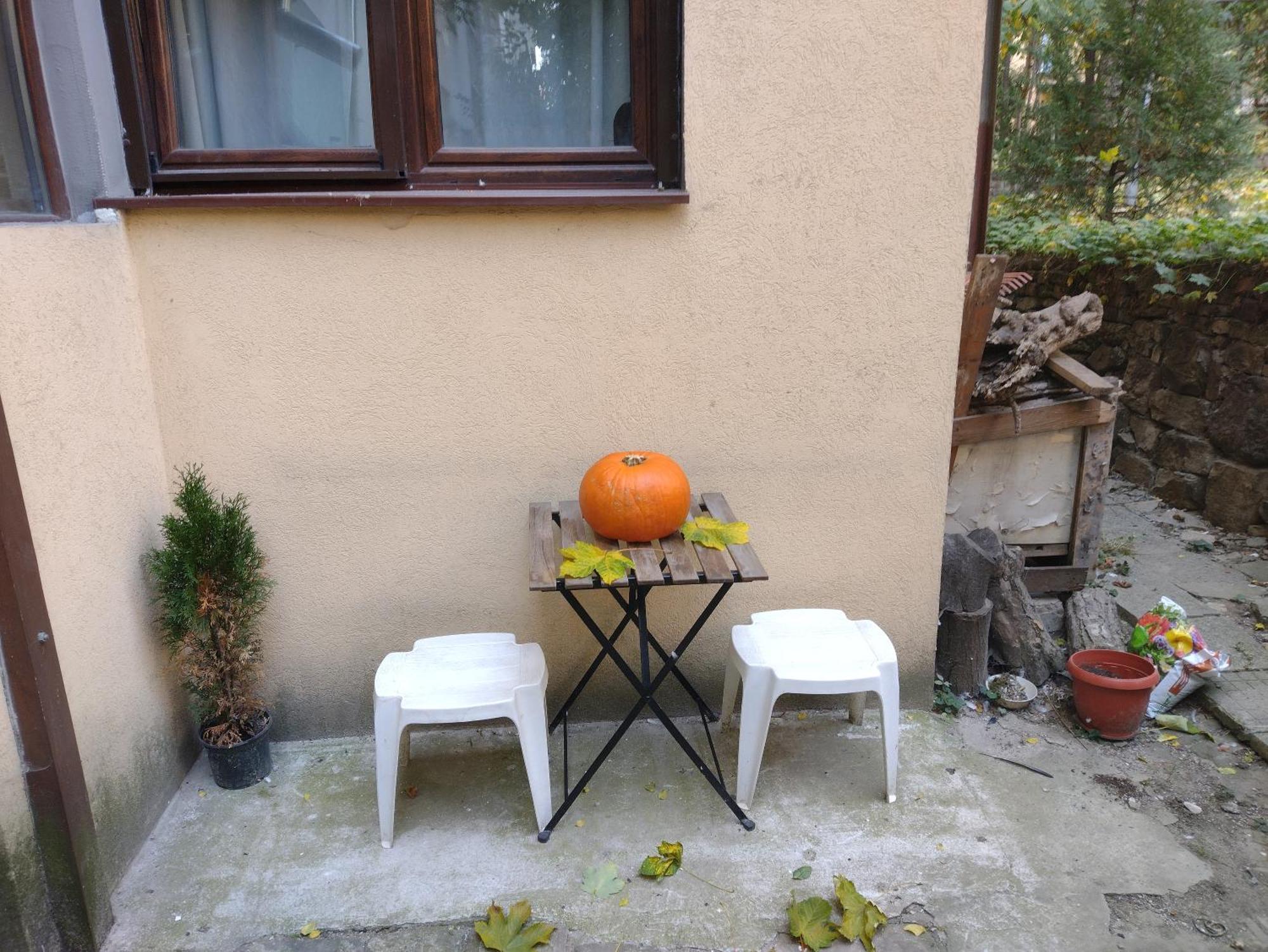 Charming Central Home With Garden Near Parking And Ndk Sofia Eksteriør bilde
