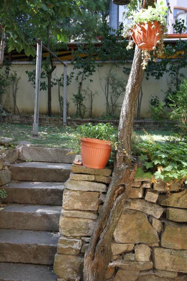 Charming Central Home With Garden Near Parking And Ndk Sofia Eksteriør bilde